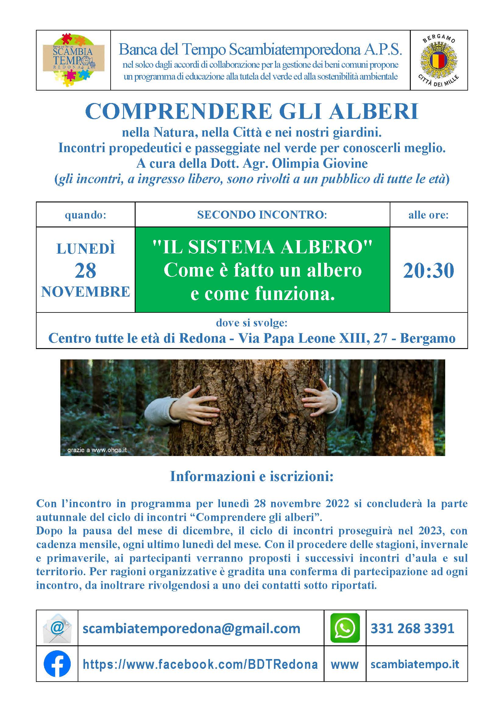 Comprendere-gli-alberi