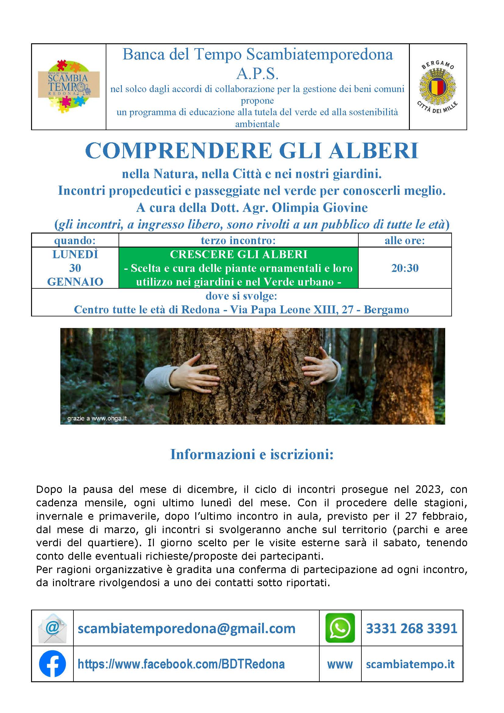 Comprendere-gli-alberi