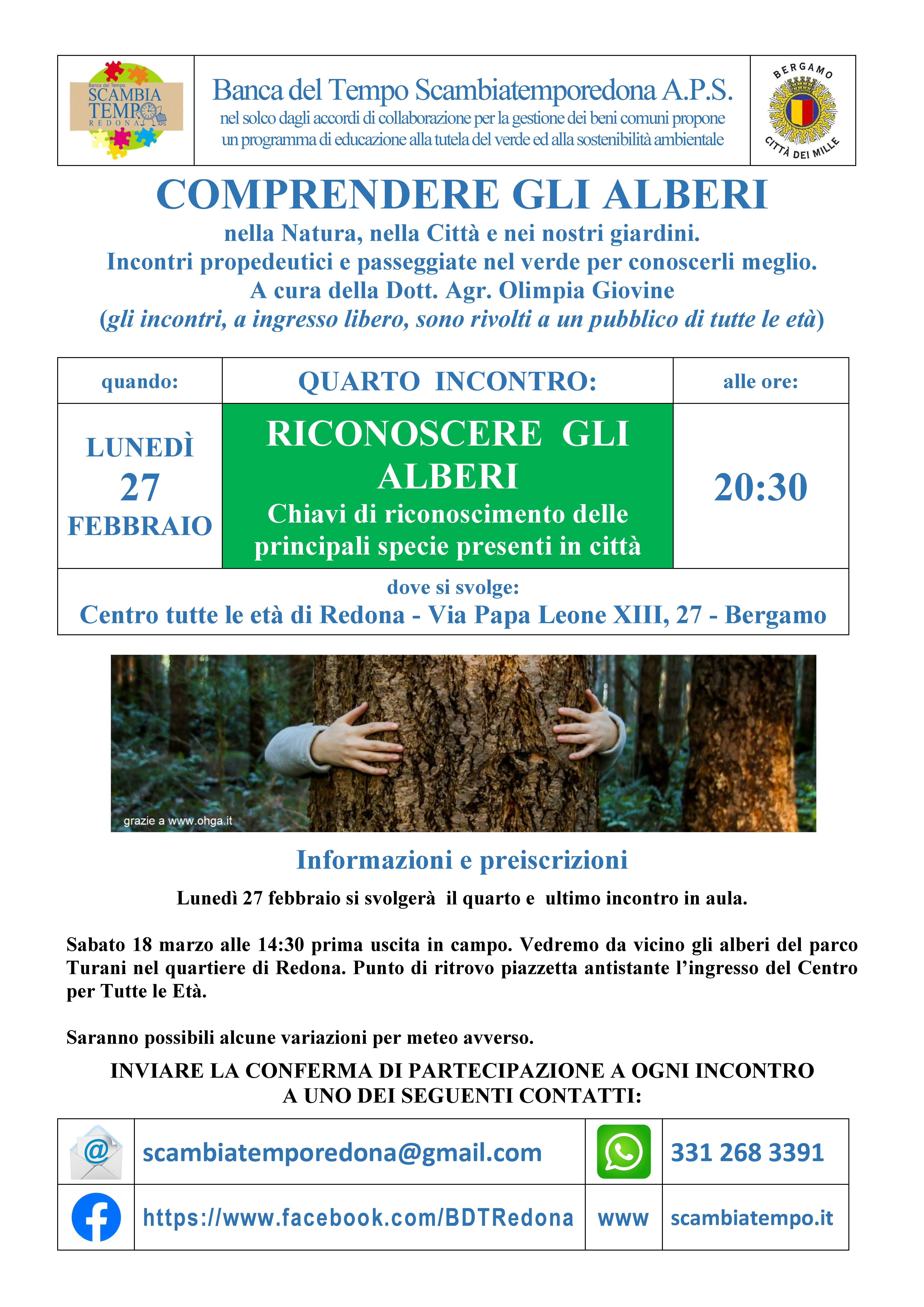 Comprendere-gli-alberi